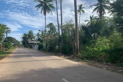Commercial Lot For Sale in Daorong Panglao, Bohol