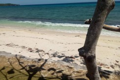 Beach Lot for Sale in Siquijor