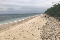 Beach Lot for Sale in Pungtod Oslob, Cebu