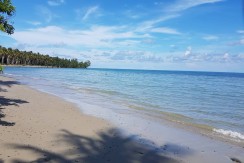 Beach Lot for Sale in Brgy Concepcion, Puerto Princesa City