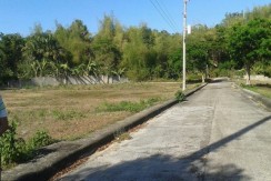 Greenwoods Executive Homes - Sta Luisa-OPMC - Pulangbato Talamban