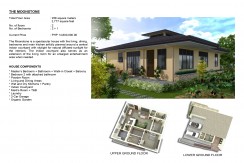 Amonsagana - Synthic Property - Gaas, Balamban, Cebu