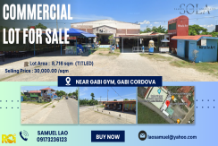 Commercial Lot for Sale in Gabi Cordova, Cebu