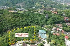 Residential lot for Sale in  Maria Luisa Estate  Paseo Angelina