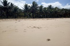 Beach Lot for Sale in Duli, El Nido