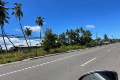 Commercial Lot for Sale in Compostela Cebu