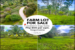 FARM LOT- FOR SALE- GUBA CEBU
