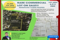 PRIME COMMERCIAL LOT FOR SALE - MANAOAG TOWN PROPER
