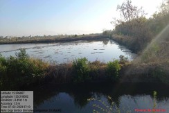 For Sale: Prime 20.6-Hectare Fishpond Property